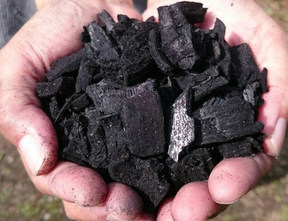 竹炭60Ｌ【全国一律送料】